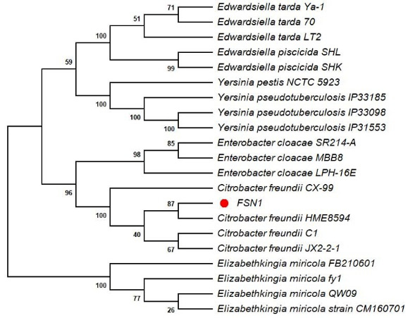 Fig. 3.