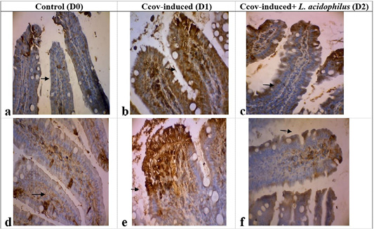 Figure 3: