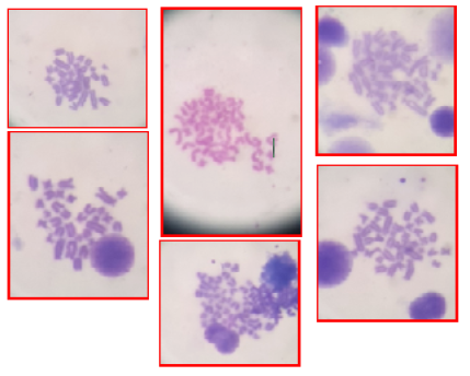 Figure 4:
