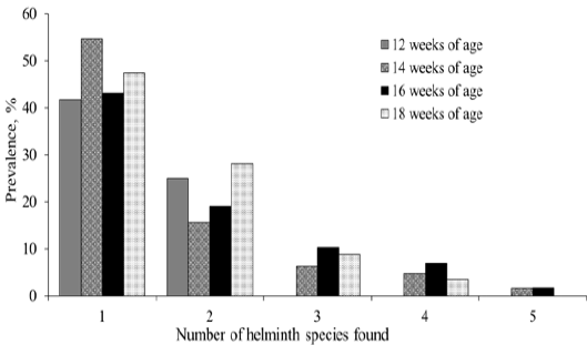Figure 2: