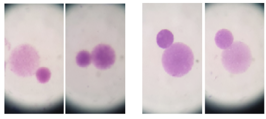 Figure 2: