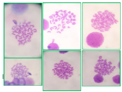 Figure 6:
