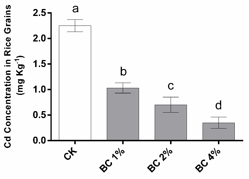 Figure 13: