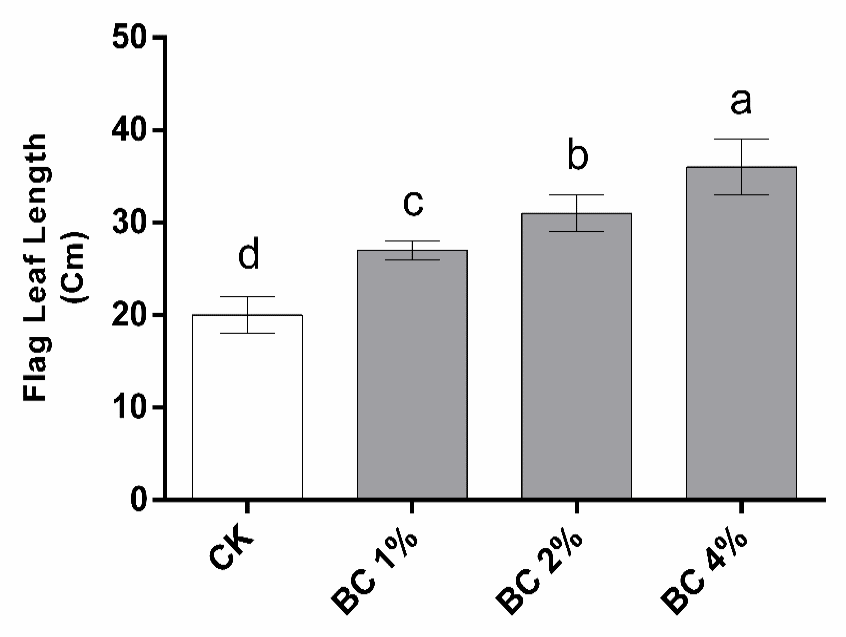 Figure 5: