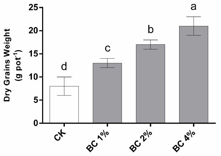 Figure 10: