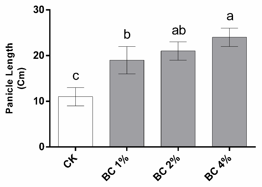 Figure 6:
