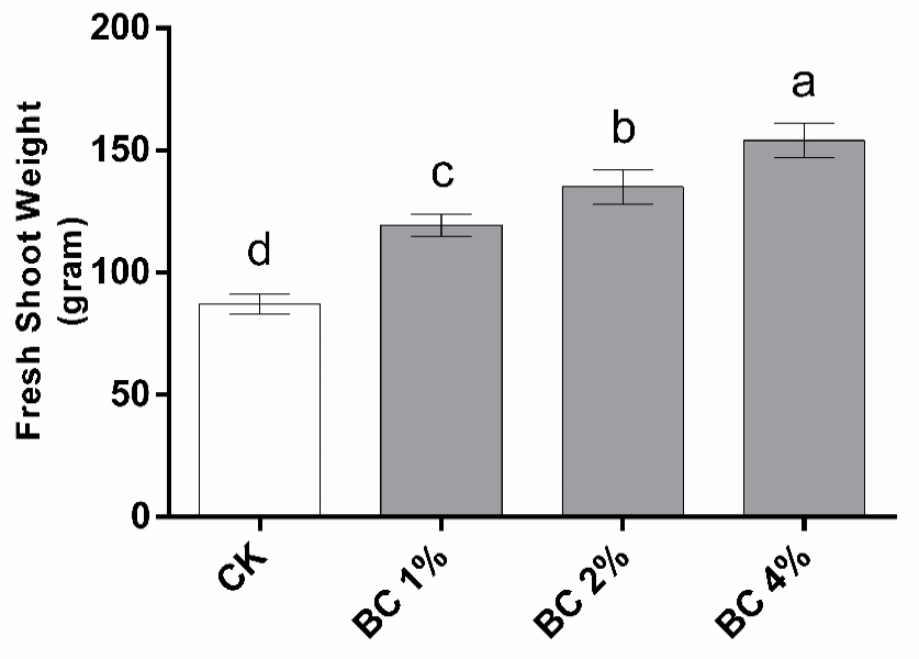 Figure 7: