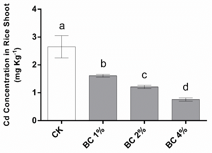 Figure 12: