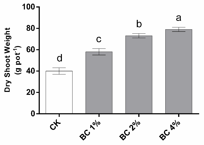 Figure 8: