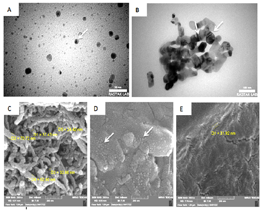 Figure 2: