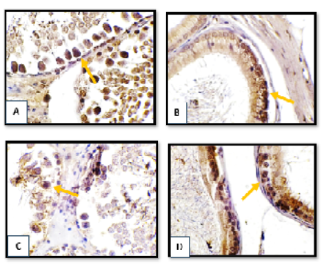 Figure 4: