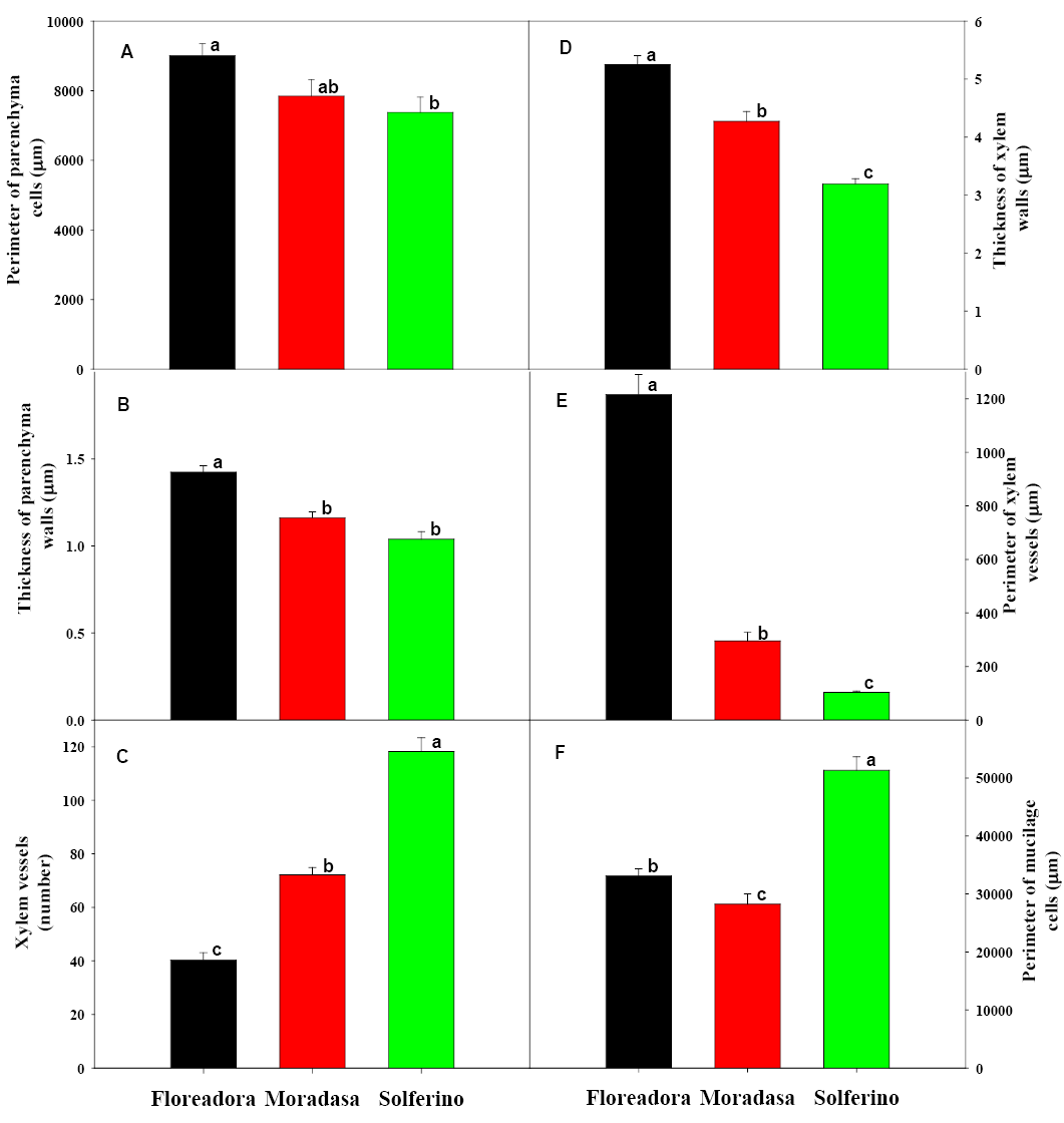 Figure 5:
