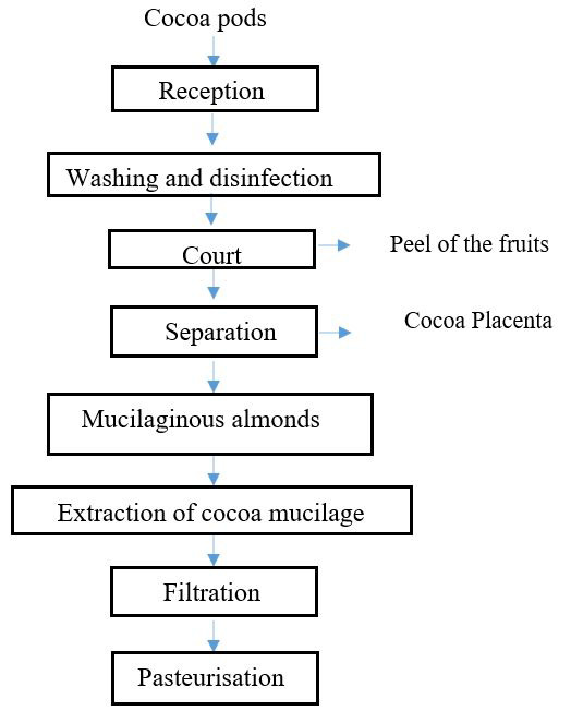Flowchart 2: