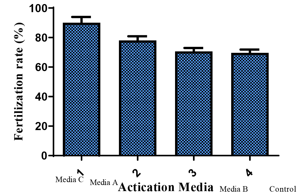 Figure 4: