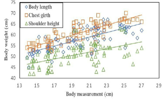 Figure 2: