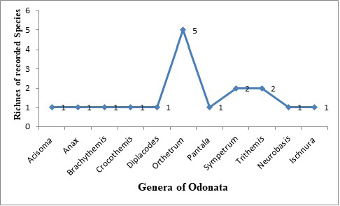 Figure 3: