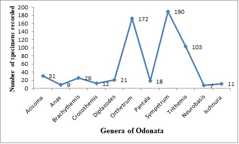 Figure 4: