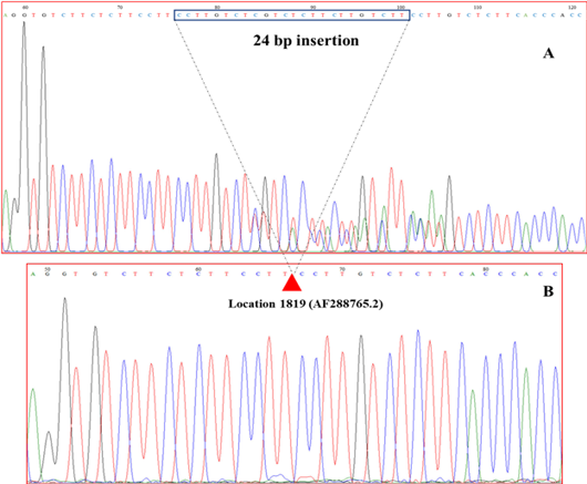 Figure 3: