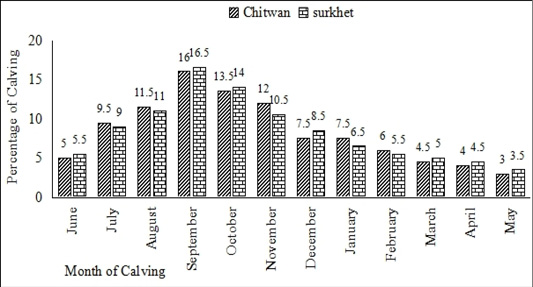 Figure 3: