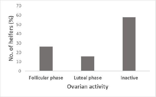 Figure 2: