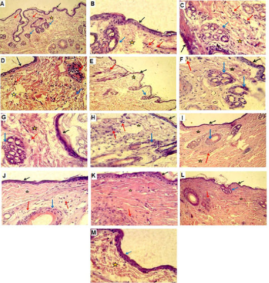 Figure 5:
