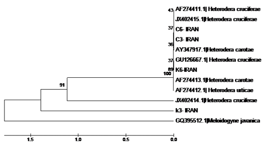 Figure 3: