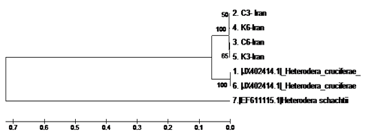 Figure 5: