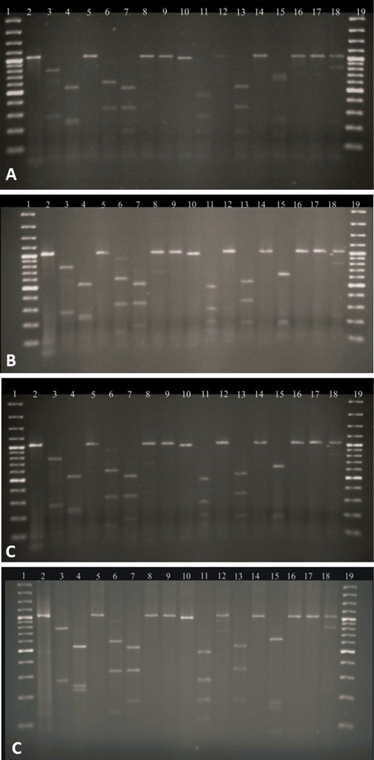 Figure 2: