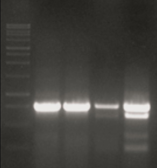 Figure 4: