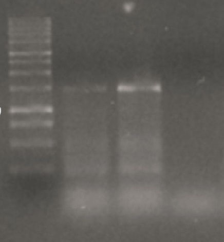 Figure 6: