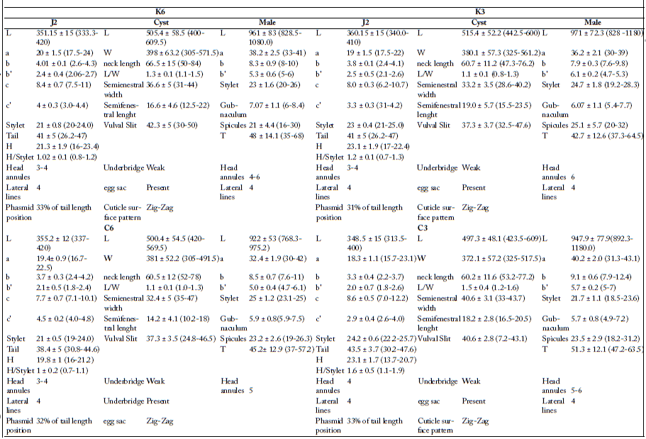 Table 5: