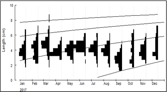 Figure 4: