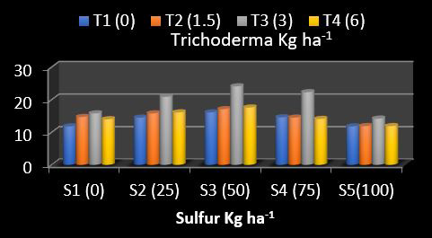 Figure 10: