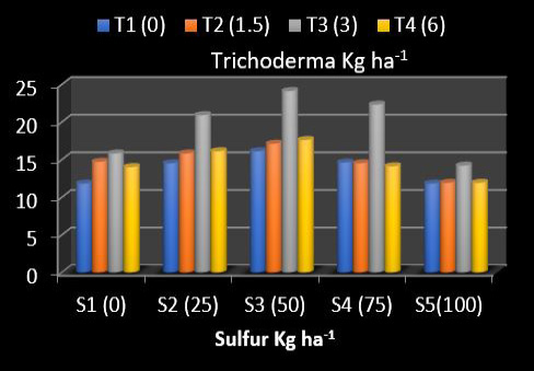 Figure 4: