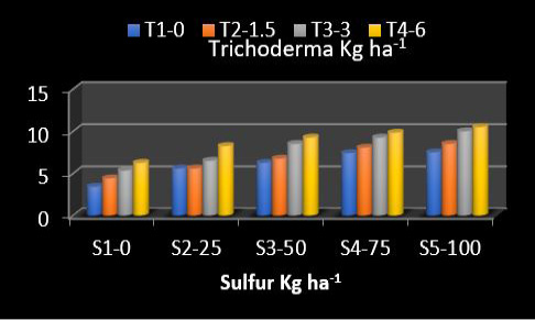 Figure 7: