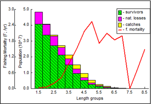 Figure 11:
