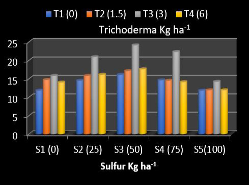 Figure 5: