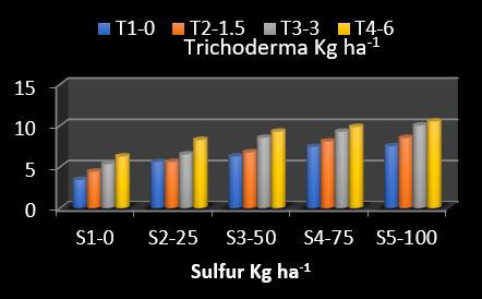 Figure 8: