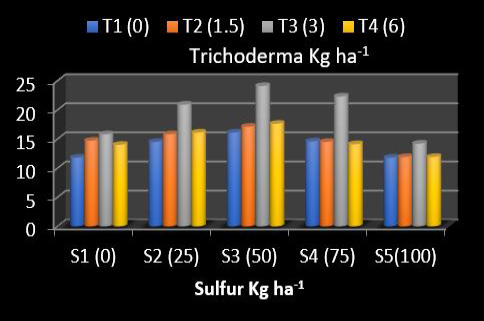 Figure 6: