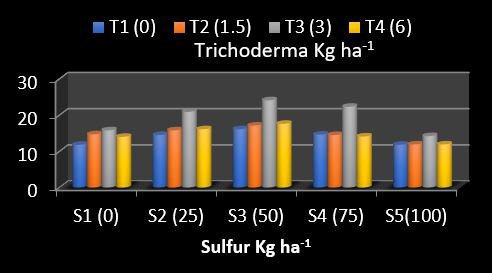 Figure 9: