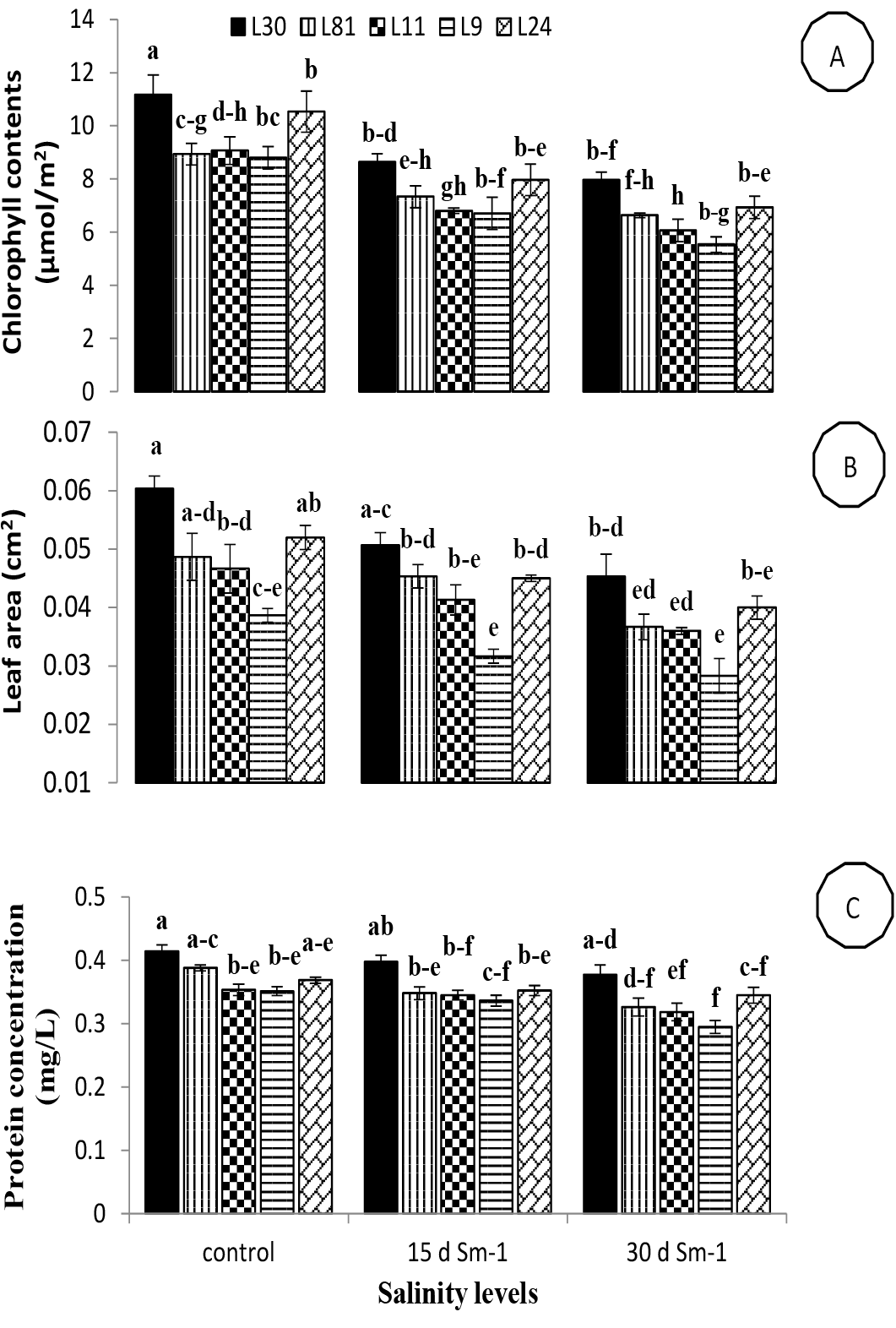 Figure 2: