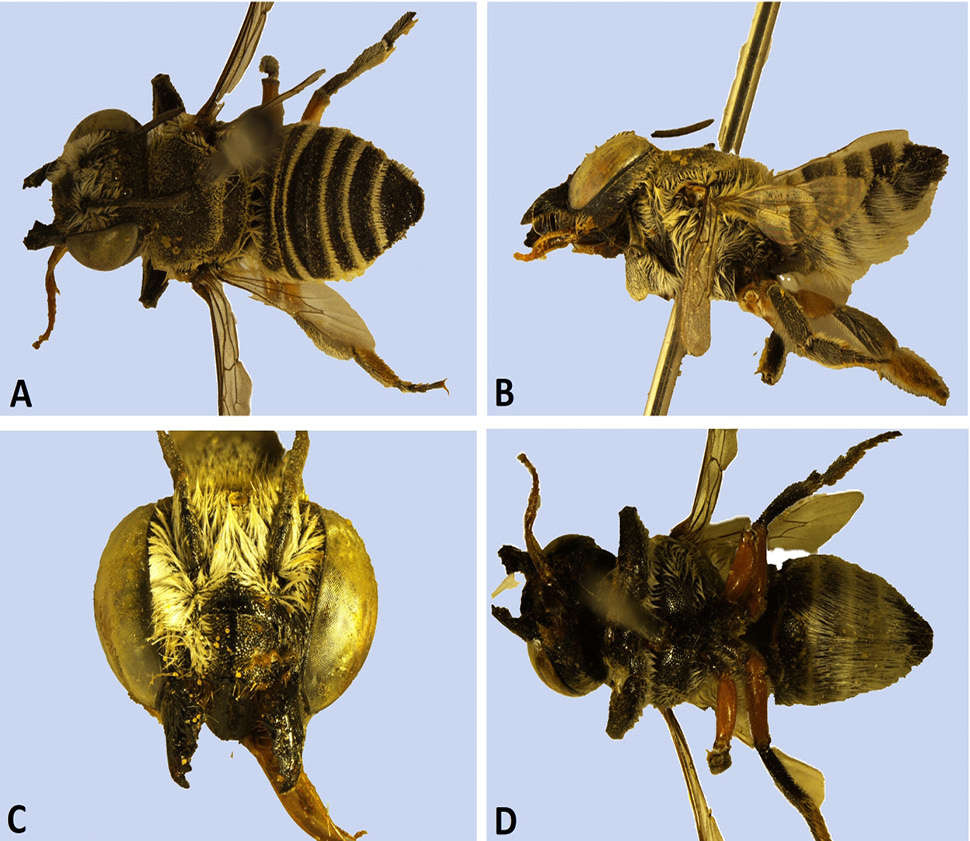 Fig. 3.