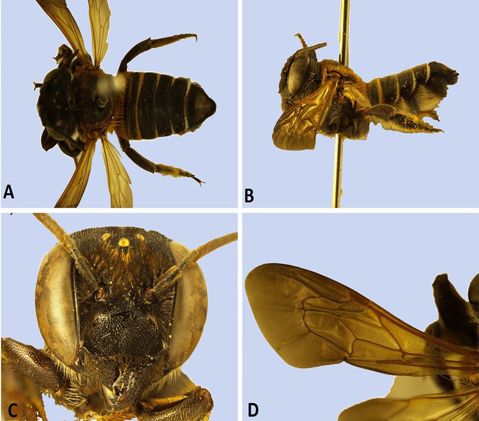 Fig. 4.