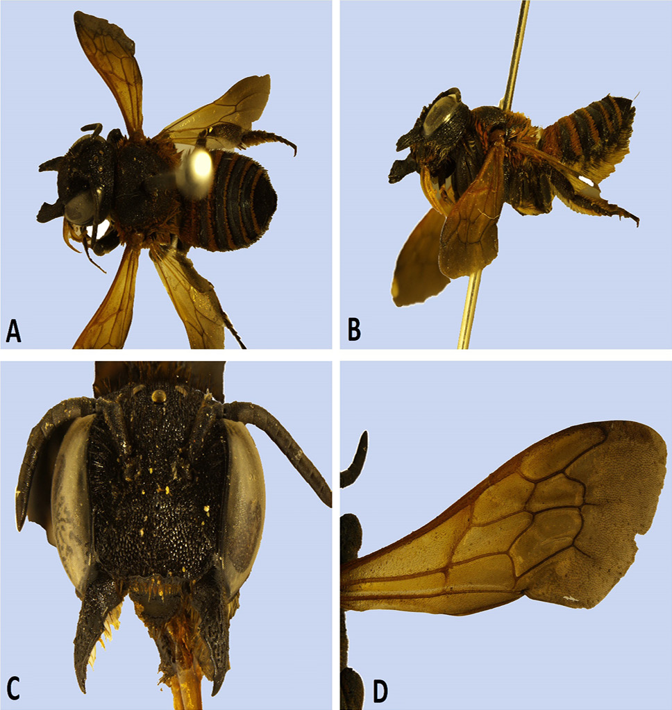 Fig. 6.