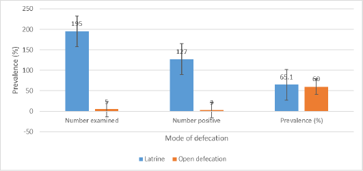 Figure 6: