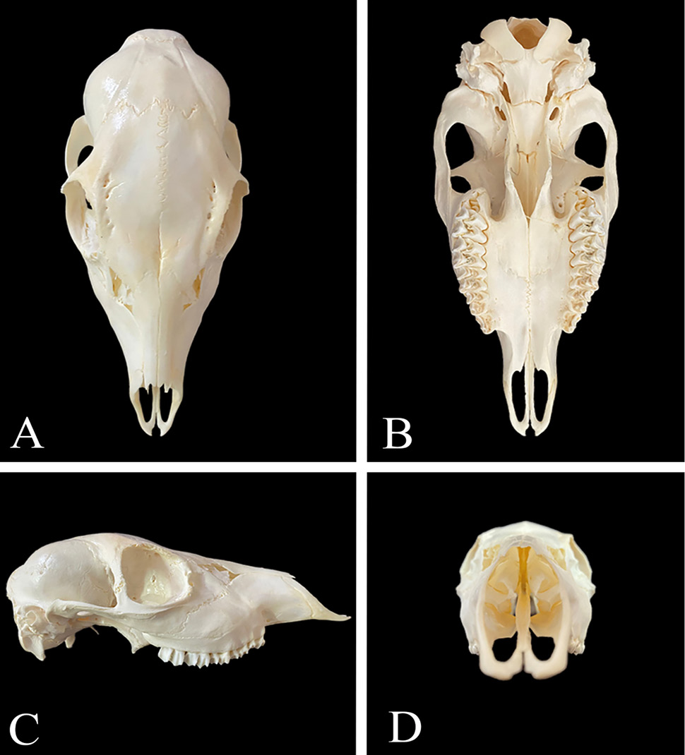 Fig. 3.