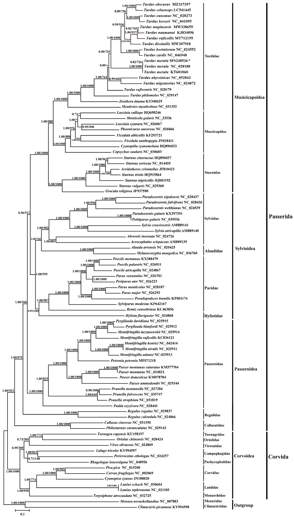 Fig. 8.