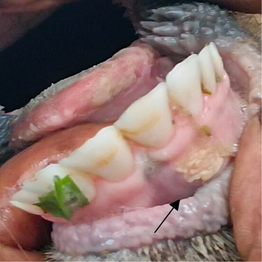 Figure 3: