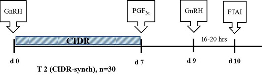 Figure 2: