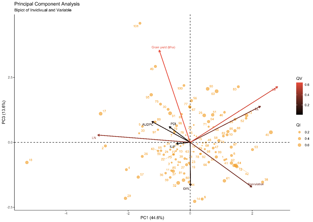 Figure 7: